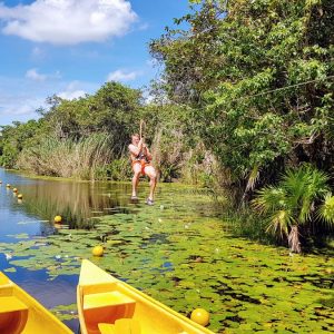 Zip wiring across Cenotes, Prestigious Venues FAM Trip, Mex2017