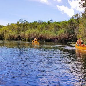 Canoeing on Cenotes, Prestigious Venues FAM Trip, Mex2017