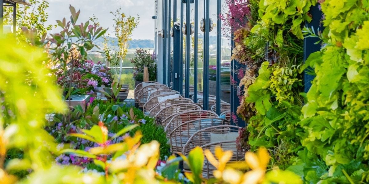 Biophilic Design Roof Terrace, Treehouse London, Prestigious Venues