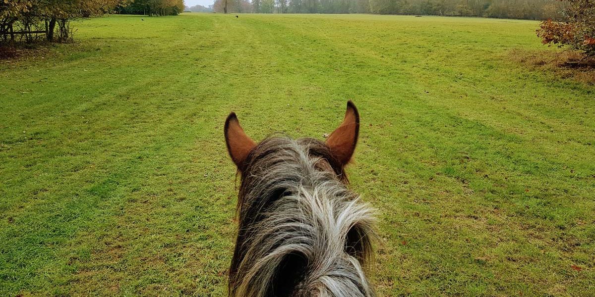 Cotswolds Team Building, Lucknam Park Hotel & Spa, Prestigious Venues